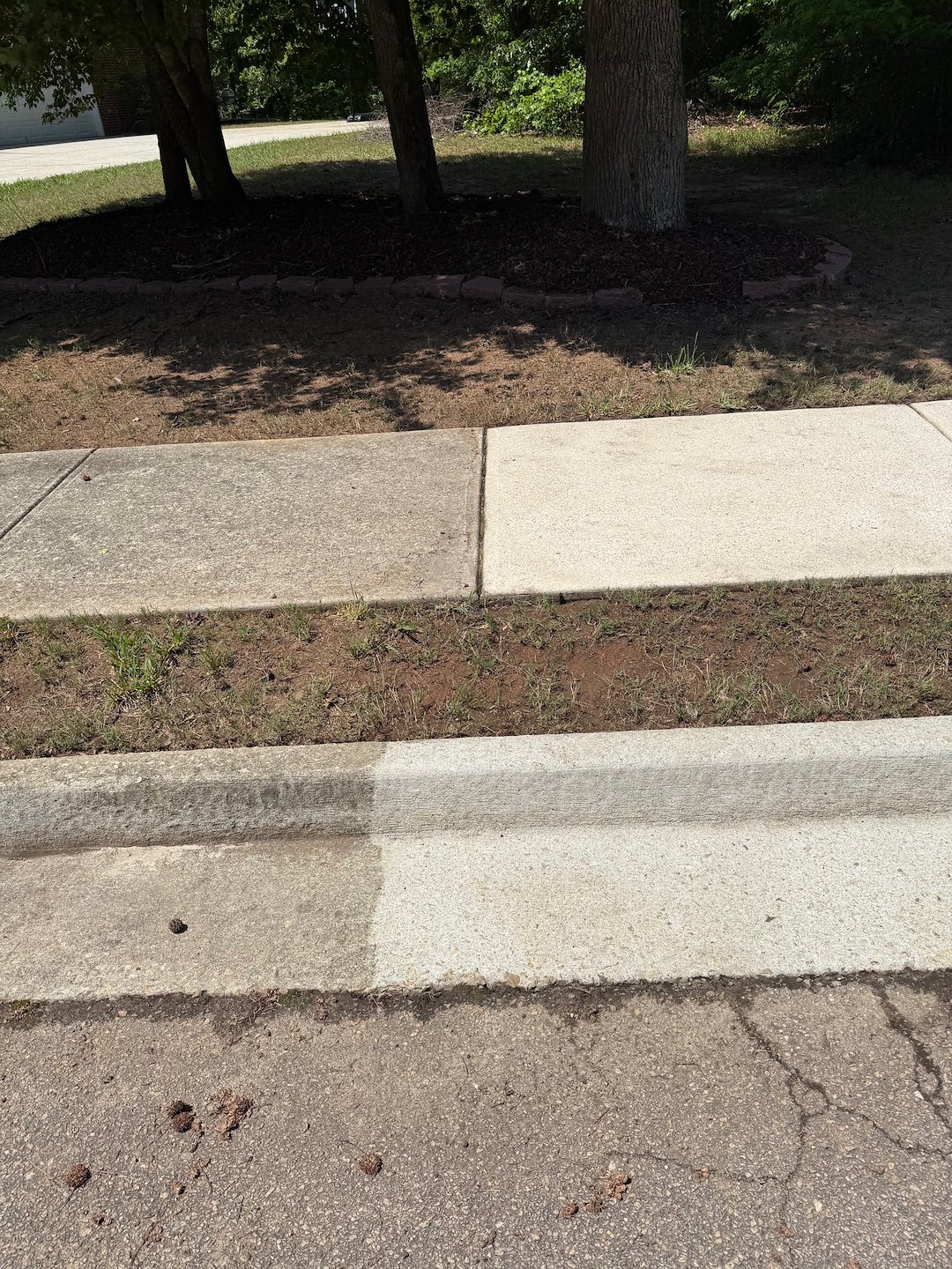 Boost Your Curb Appeal with Professional Curb and Sidewalk Washing